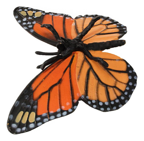 Ciclo De Vida De Safari Ltd De Una Mariposa Monarca