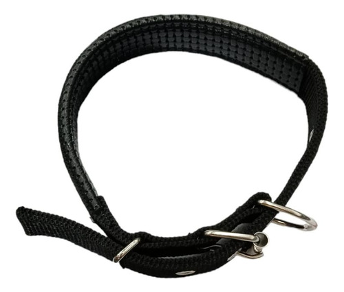 Collar Perros Pequeños Reforzado Interior Soft 2cm Regulable