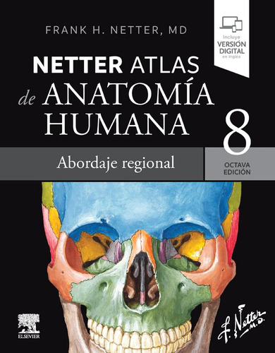 Netter. Atlas De Anatomía Humana. Abordaje Regional 8 Ed.