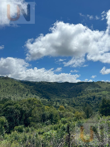 Terreno En El Siambon