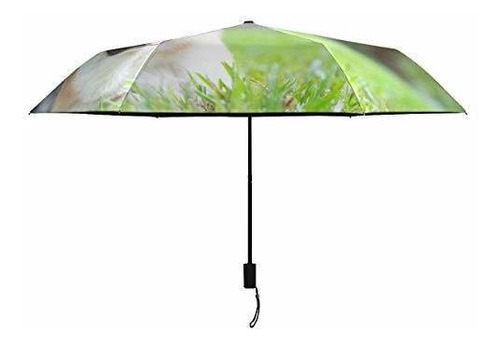 Sombrilla O Paraguas - Cute Corgi Pet Dog Parasol Umbrella F