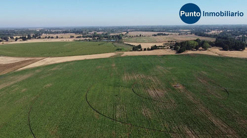 Imagen 10 de 13 de Abundante Agua. Uso Agrícola Y Frutícola