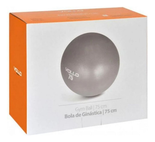 Bola De Pilates Ginástica Gym Ball 75 Cm Cinza Com Bomba