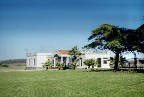 Chacra Importante En R. 39 Con 700 M2. Construidos- Ref: 2101