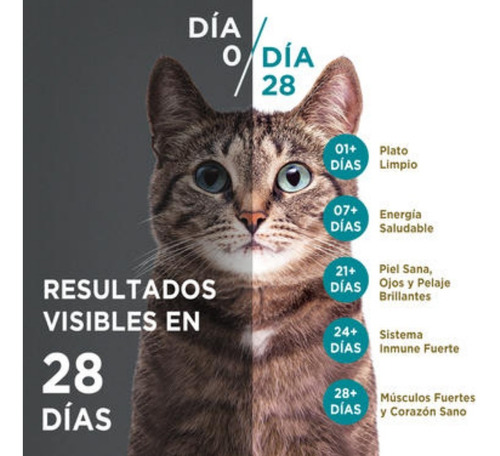 Alimento Húmedo Gatos Purina One Salmón Atún & Pescado 72pzs