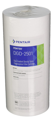 Filtro Pentair 155359-43  Dgd-2501