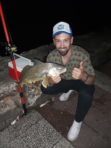 Plomada Pesca De Alto Rendimiento Plomo Clip Bait Clip