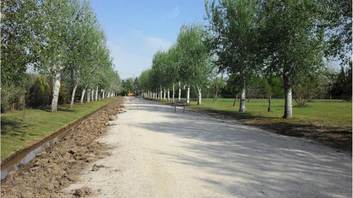 Terreno En Chacra Los Raigales