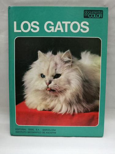Los Gatos Documental En Color, Teide