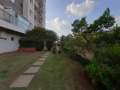 Imagem 23 de 30 de Apartamento Impecável Em Vila Sônia