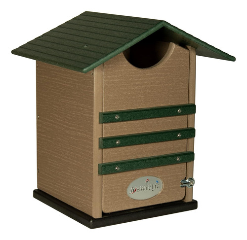 Green And Tan Ultimate Poly Screech Owl - Caja Nido Ideal Pa