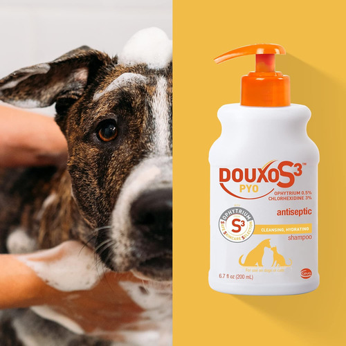 Champú Douxo S3 Pyo, 6.7 Oz (200 Ml) - Amazon Vine