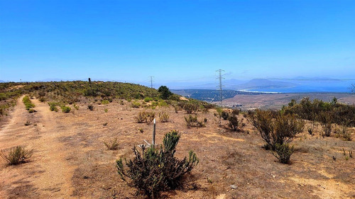 Se Vende Parcela De Agrado De 10.082m2 Pichicuy-huaquen Alto