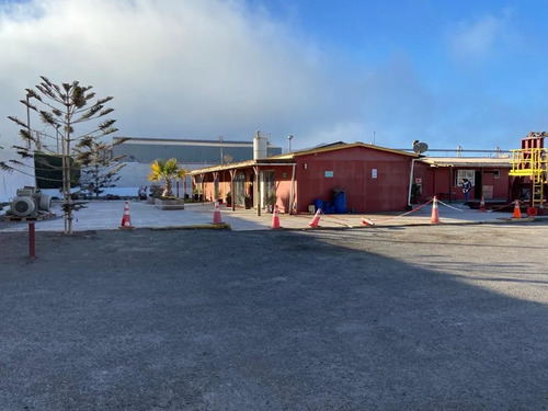 Arriendo Industrial  Terreno 5000 M2 - Oficinas Y Galpón
