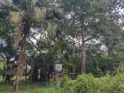 Imagen 10 de 12 de Terreno En San Pancho