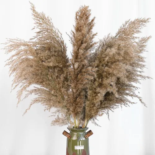 60 Pcs Decor Boho, Hierbas Secas Naturales, Modelo 17 Pulgad