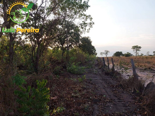 Imagem 2 de 12 de Fazenda À Venda Em Abreulândia - 696,96 Hectares (dupla Aptidão) - 2023