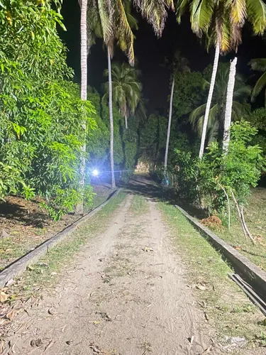 Finca Para Proyecto