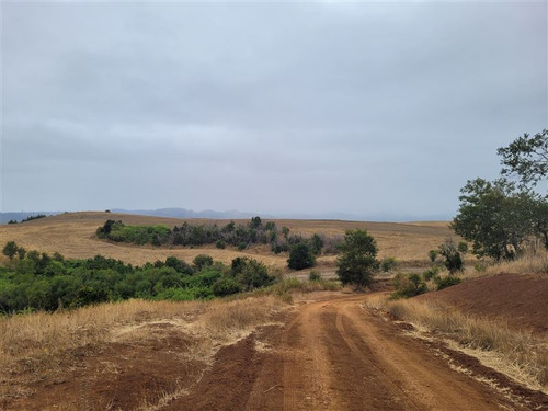 Imagen 2 de 13 de Agrícola En Venta En Galvarino
