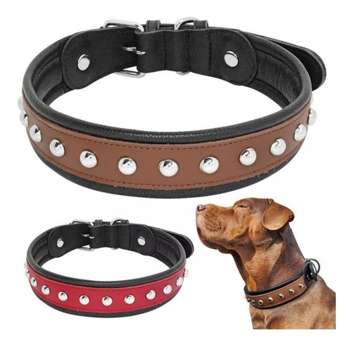 Collar Para Perros De Cuero Razas Grandes Fuerte + Paseador 