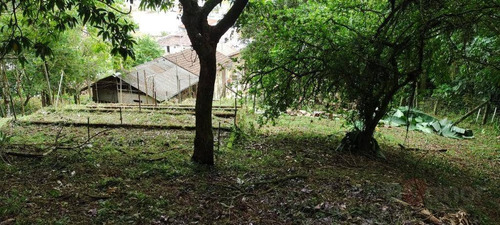 Casa Com 3 Dormitórios À Venda, 200 M² Por R$ 850.000,00 - Salto - Blumenau/sc - Ca0607