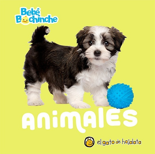Animales. Bebé Bochinche - El Gato De Hojalata
