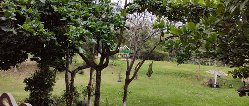 Imagem 12 de 30 de Casa Com 3 Dorms, Area Rural, Pedro De Toledo - R$ 500 Mil, Cod: 821 - V821