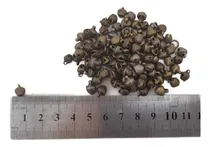 Comprar Cascabeles Bronce 6mm Artesanías - 100 Unidades - Ml-a317