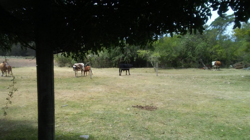 Casa De Campo A 200 Mts. De Ruta 9 Dentro De 7 Hectáreas