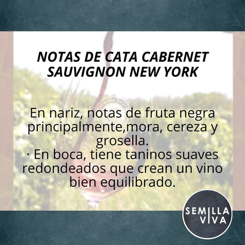 Imagen 2 de 10 de Vino Orgánico Cabernet Sauvignon Familia C. 750ml - New York