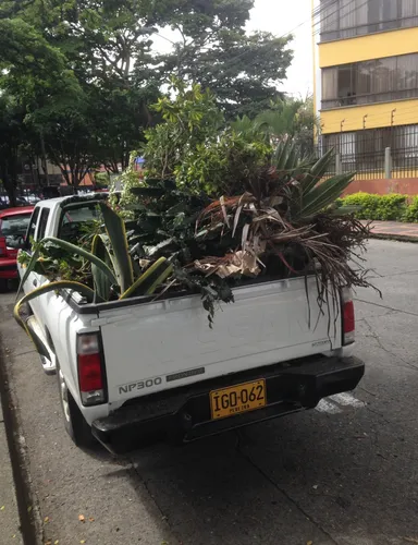 Nissan Frontier 2.4l 4x2