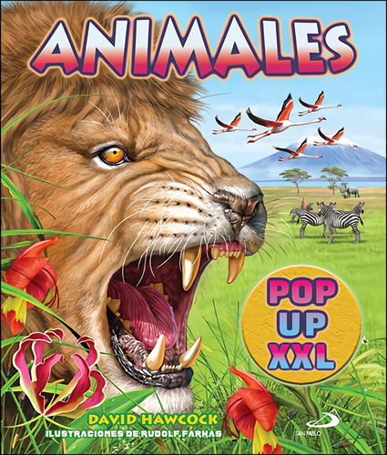 Libro: Animales Pop Up Xxl. Hawcock, David. San Pablo Editor