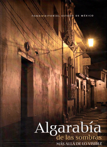 Algarabía De Las Sombras Más Allá De  Lo Visible, De Jorge Ortega. Editorial Ediciones Y Distribuciones Dipon Ltda., Tapa Dura, Edición 2013 En Español