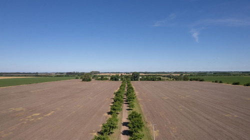 Campo En Venta 25ha En San Andres De Giles
