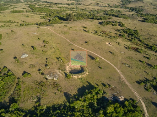 Campo 180 Hás Rincón De José Ignacio