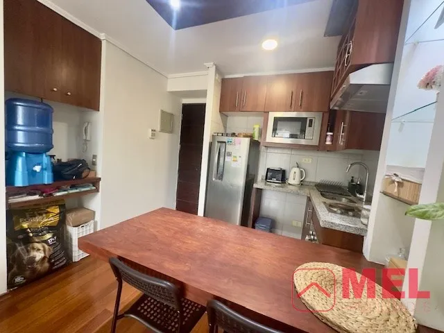 Imagen 5 de 29 de Departamento En Venta De 1 Dorm. En Santiago