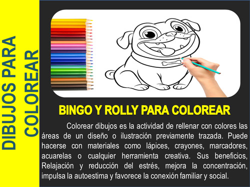 Bingo Y Rolly Libro Imprimir Colorear Pintar