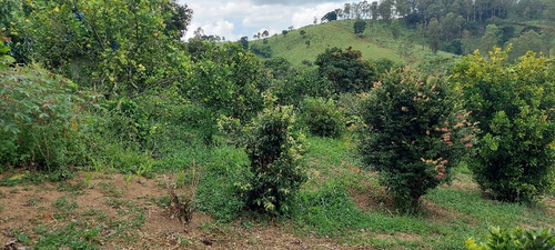 Imagem 14 de 14 de Chacara 6.500m2 A Venda Em Pedra Bela Sp