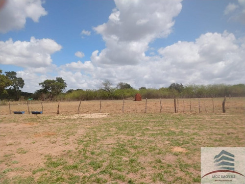 Imagem 6 de 30 de Granja A Venda Em Macaíba
