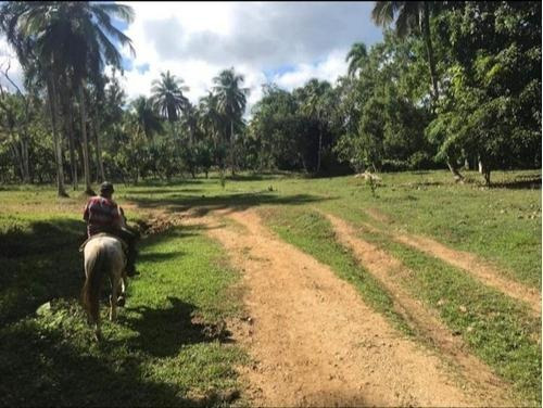  Finca Mixta Con Agua En Hato Mayor Del Rey