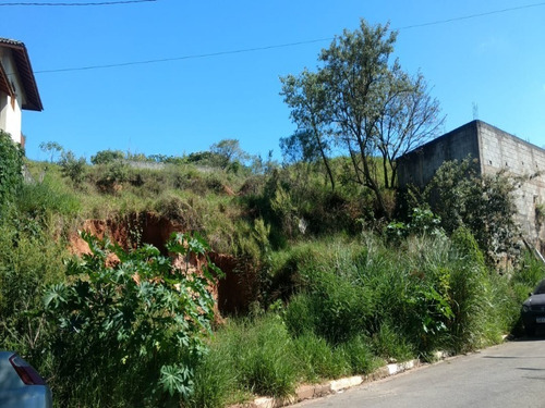 Imagem 1 de 5 de Terreno - Te00064 - 70276321