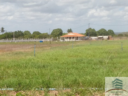 Imagem 2 de 30 de Granja A Venda Em Macaíba