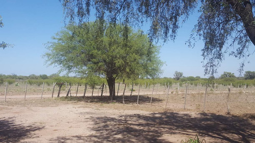 Campo En Venta Villa Quilino - Campo Ganadero Con 2 Casas