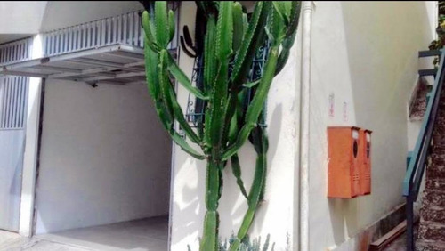 Imagem 3 de 13 de Casa Para Venda, 3 Dormitório(s), 140.0m² - 2001
