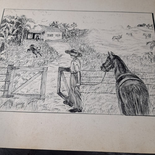 Desenho Pintura Nanquim Bico De Pena Antigo Cavalo Porteira