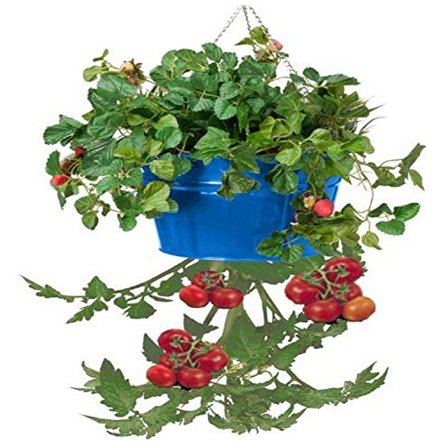 Soporte Colgante De Planter Corp. 8399e B Esmaltado De ...