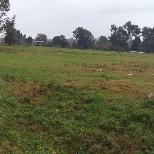 Vendo Casa + Campo 3 Padrones Fraccionados Total 4.8 Hectáreas Montevideo Urbano. Conectado A Saneamiento, Ute, Ose, Antel, Internet. Los 3 Padrones Usd 239.000 Dolares