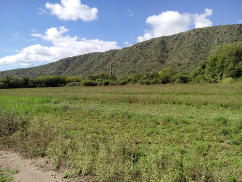 Imagen 2 de 30 de Paraíso Escondido , Campo De 78 Hectareas, En Venta En San Luis, Al Pie De Las Sierras Altas, Valle, Vista Única, Con Río Al Fondo , Bosque Nativo, Realmente Unico,,,para Mudarte Y Cambiar De Vida