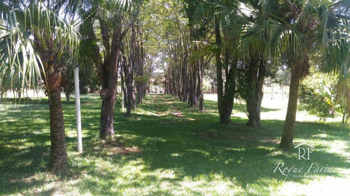 Imagem 1 de 11 de Chácara À Venda, 150 M² Por R$ 450.000,00 - Aleluia - Cesário Lange/sp - Ch0012