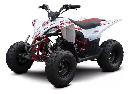 Quadriciclo Fun Motors Alphacross 125